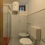 Diffuso Forgaria Monte Prat Pensionat 3*